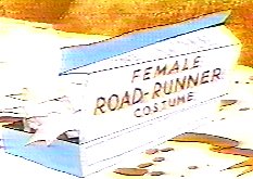 female road runner costume